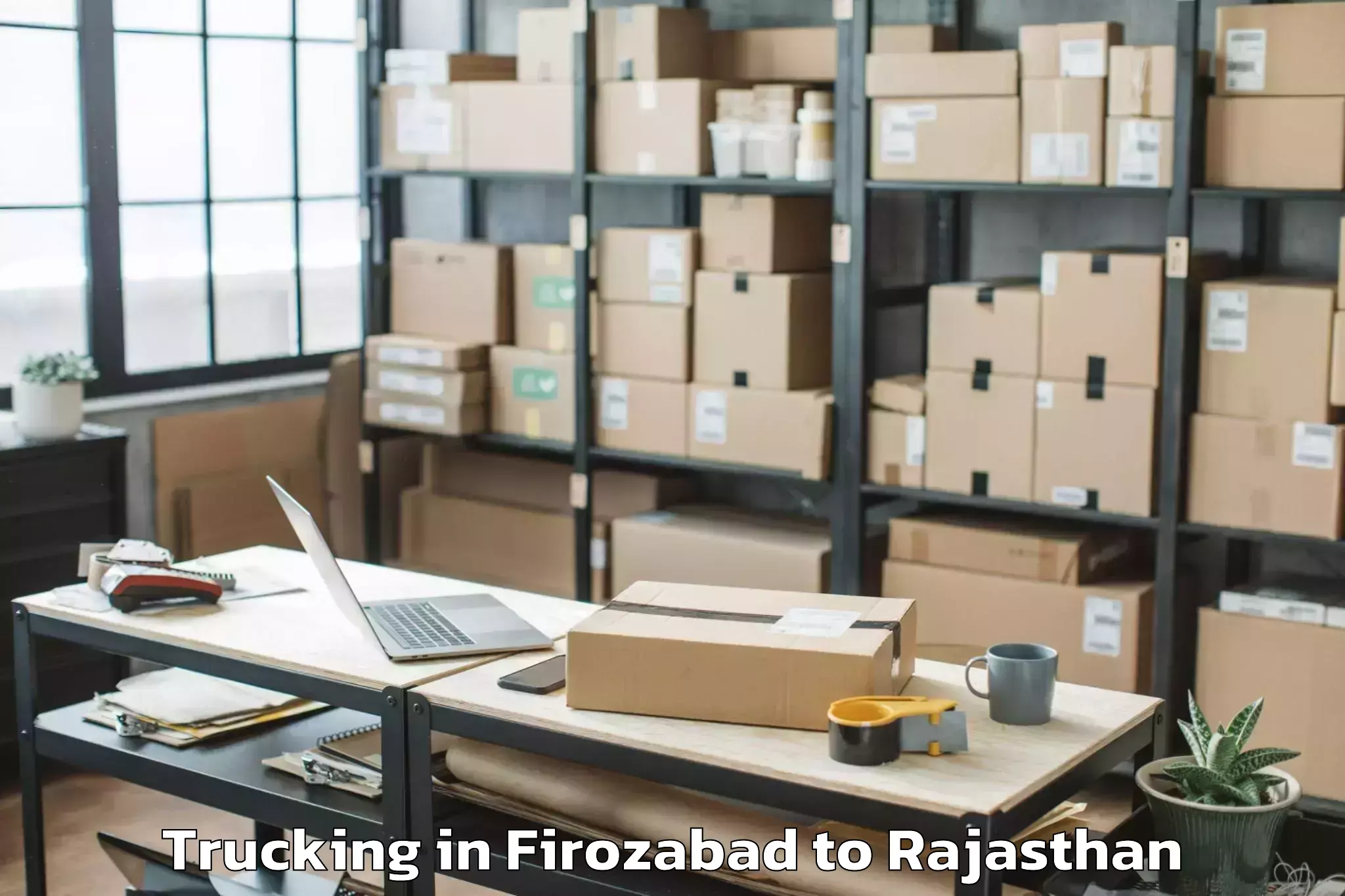 Quality Firozabad to Shri Jagdishprasad Jhabrmal Ti Trucking